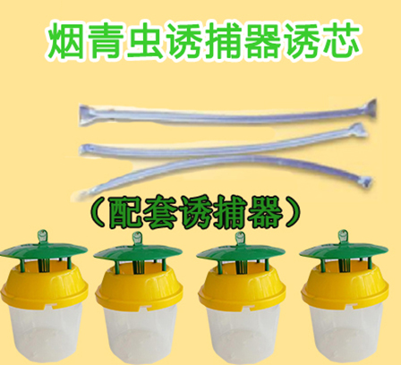 煙青蟲信息素誘芯
