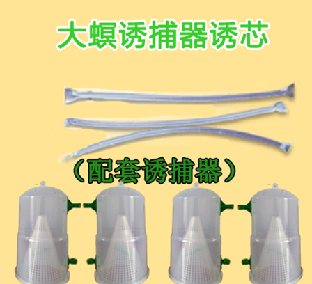 大螟信息素誘芯