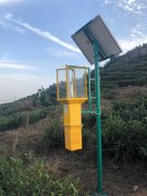 風吸式太陽能殺蟲燈